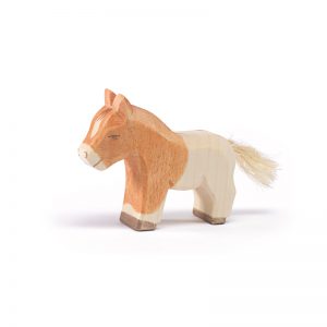 Horse - Shetland colt
