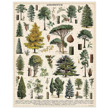 Load image into Gallery viewer, Cavallini &amp; Co. Arboretum - 1000 piece vintage jigsaw puzzle
