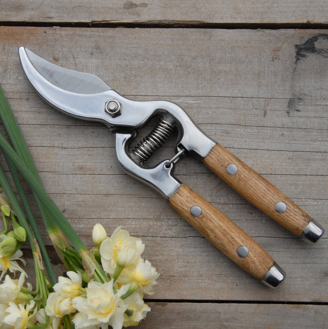 Secateurs