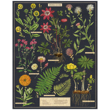 Load image into Gallery viewer, Cavallini &amp; Co. Herbarium - 1000 piece vintage jigsaw puzzle