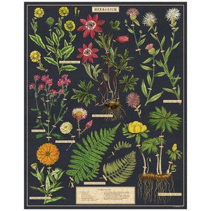 Cavallini & Co. Herbarium - 1000 piece vintage jigsaw puzzle