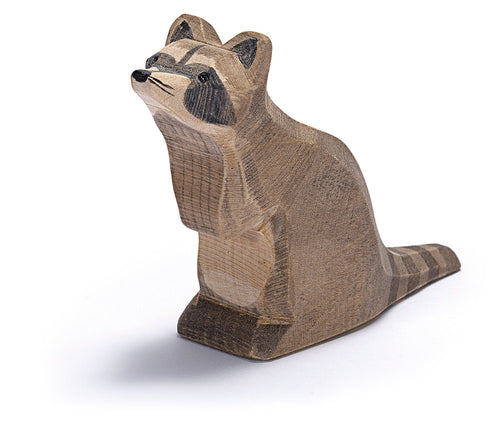 Ostheimer Raccoon - Sitting