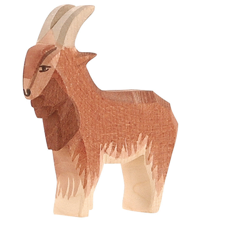 Ostheimer Goat - male