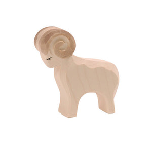 Sheep - Ram white
