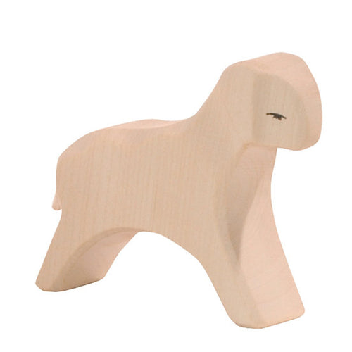 Sheep - Lamb white - running