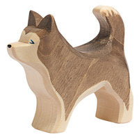Sled dog standing