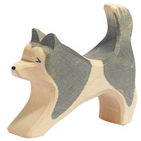 Sled dog running