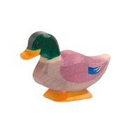 Ostheimer Duck - Drake