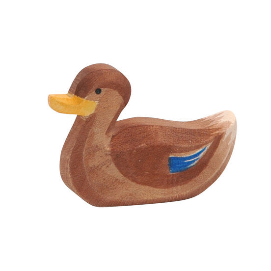 Duck - swimming