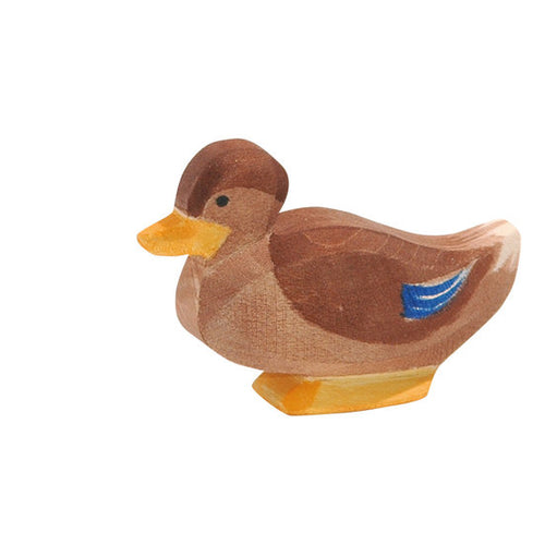 Duck - sitting