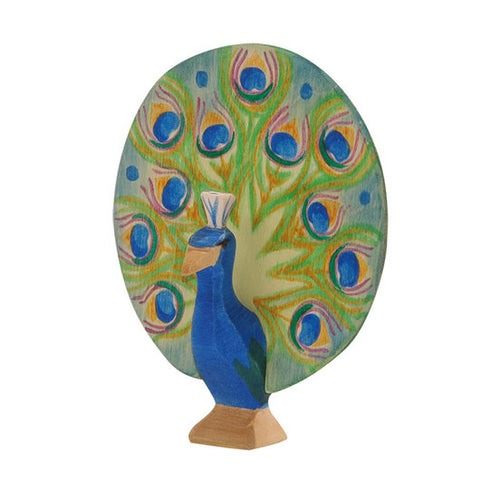 Ostheimer Peacock - open tail