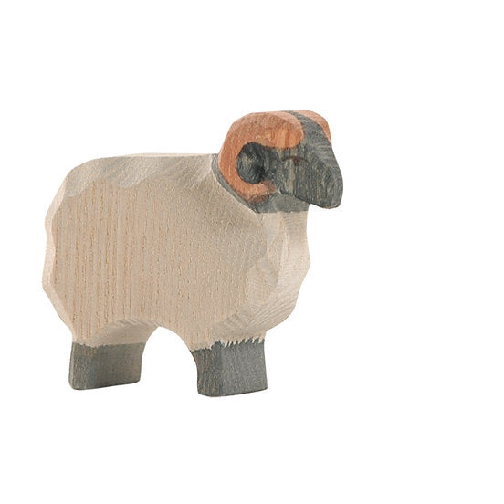 Ostheimer Sheep - Moorland ram