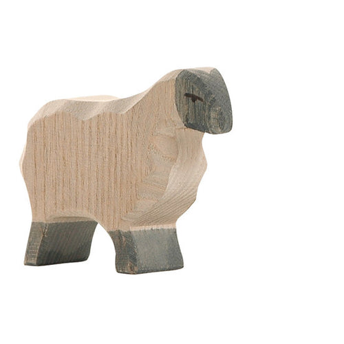 Ostheimer Sheep - Moorland sheep