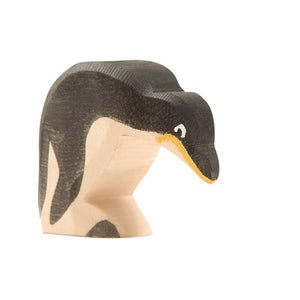 Ostheimer Penguin - Head down