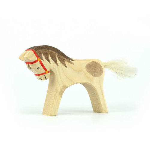 Rider's horse