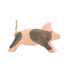 Ostheimer Pig - spotted piglet running