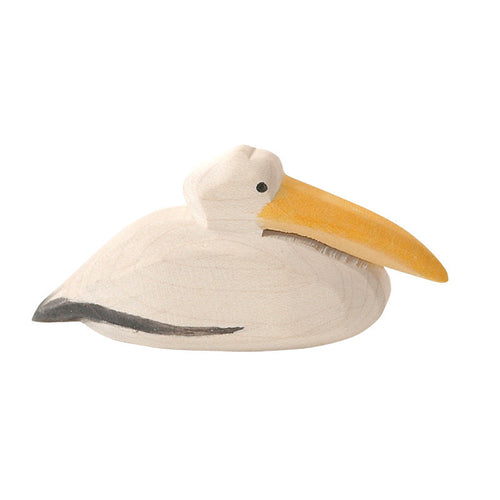 Pelican - swimming