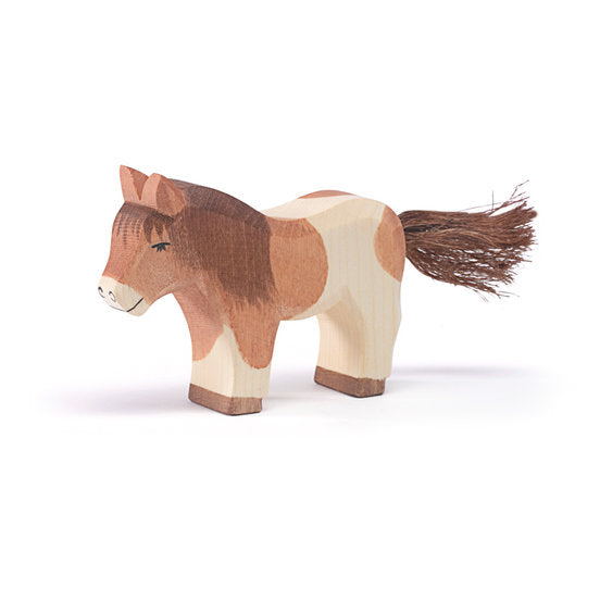 Horse - Shetland Pony standing