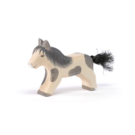 Horse - Shetland Pony running