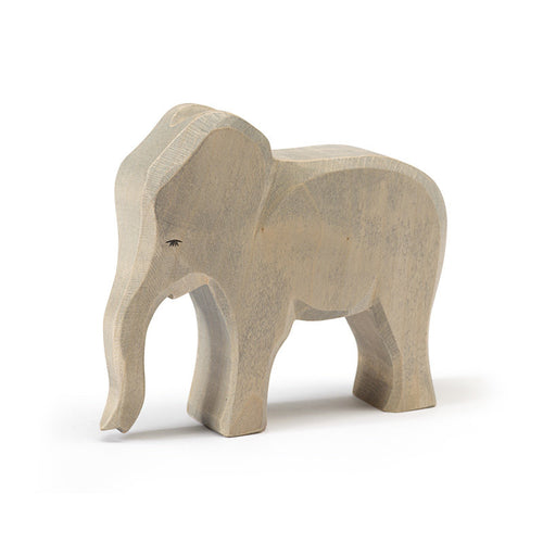 Ostheimer Elephant - female