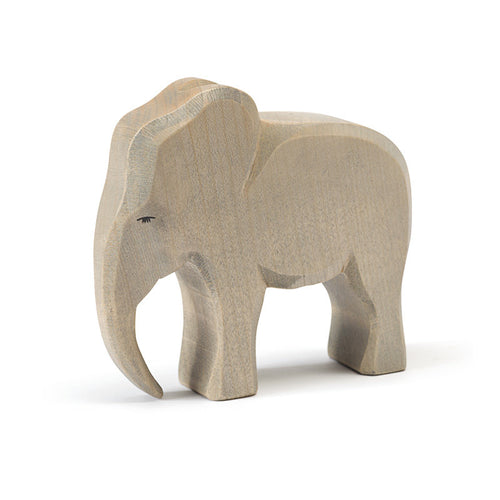 Ostheimer Elephant - Bull