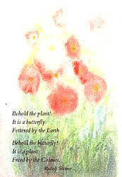 Steiner verse postcard - Behold the plant!