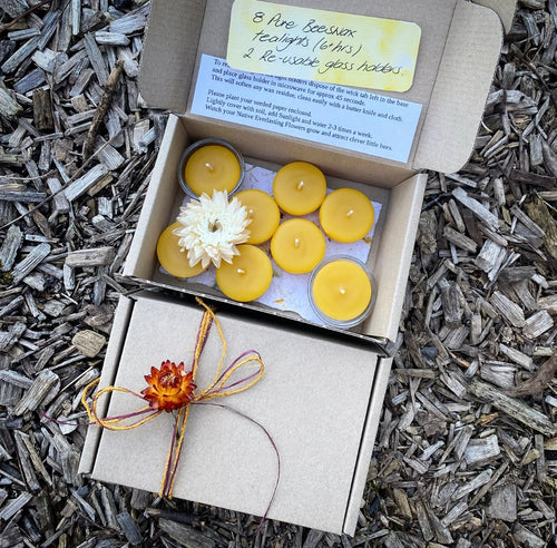 Beeswax Tealights - box of 8 with 2 reusable glass holders
