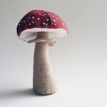 Load image into Gallery viewer, Valleymaker Perfect Toadstool Kit