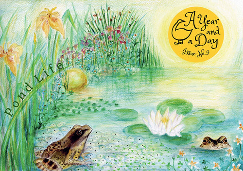 A Year and a Day Magazine- Issue 9 Pond Life