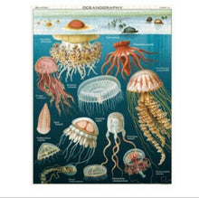 Load image into Gallery viewer, Cavallini &amp; Co. Jellyfish - 1000 piece vintage jigsaw puzzle