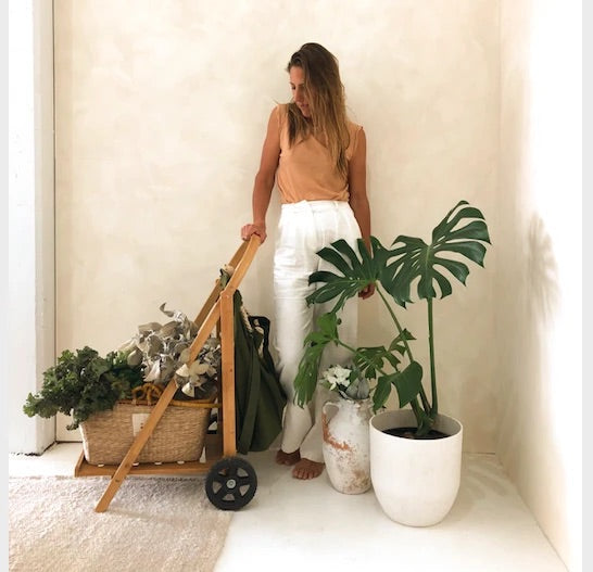 The Wanderer Shopping Trolley