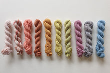 Load image into Gallery viewer, Valleymaker Polwarth Yarn Pack 50g - 10 assorted colours 8ply