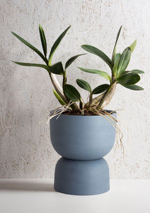 raw earth plant stand pot Angus and Celeste Raw Earth Plant Stand Pots