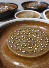 Load image into Gallery viewer, Japanese Suri Plate - Grater