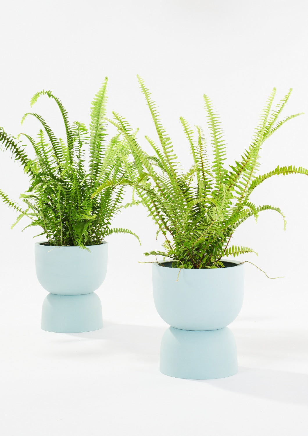 raw earth plant stand pot Angus and Celeste Raw Earth Plant Stand Pots