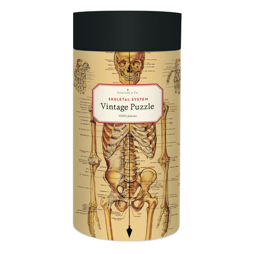 Cavallini & Co. Skeletal System - 1000 piece vintage jigsaw puzzle