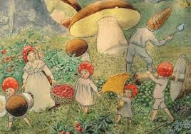 Postcard - Children of the Forest Foraging
