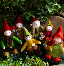 Load image into Gallery viewer, Ambrosius Gnome Family