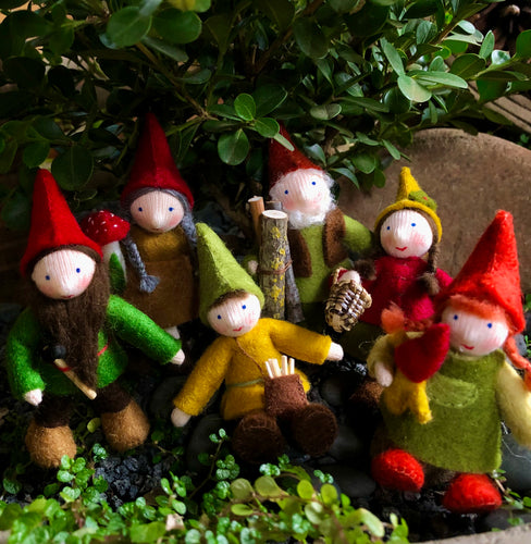 Ambrosius Gnome Family