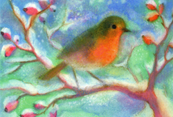 Postcard - Winter Robin