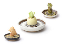 Load image into Gallery viewer, Japanese Suri Plate - Grater