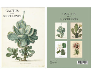 Boxed Note Cards - Succulents