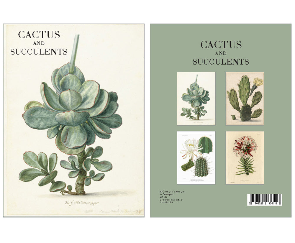 Boxed Note Cards - Succulents