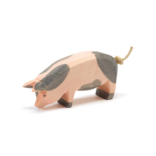 Ostheimer Pig - spotted head low (hl)