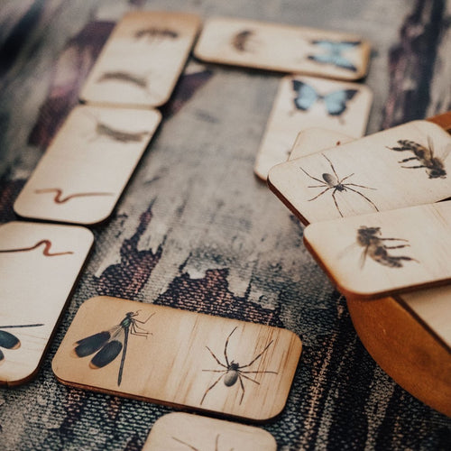 Bug Dominoes