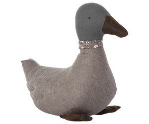 Duck - male