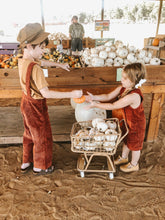 Load image into Gallery viewer, Poppie Rattan Shopper Trolley