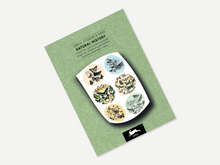 Load image into Gallery viewer, Pepin Press Labels, Stickers &amp; Tapes - assorted