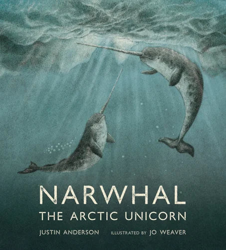 Narwhal The Arctic Unicorn