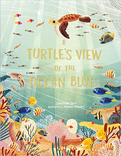 A Turtle’s View of the Ocean Blue
